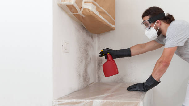 Professional Black Mold Remediation technician working in Gladstone, NJ