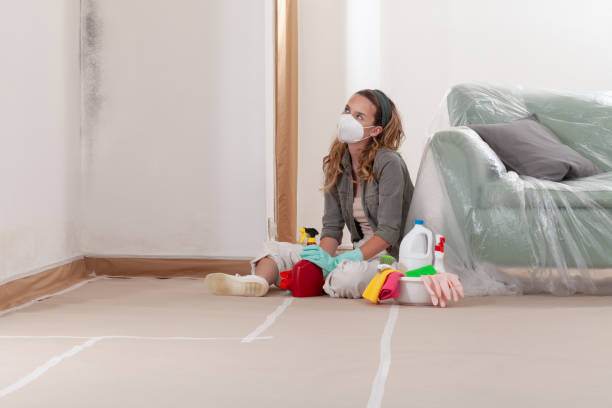 Reliable Black Mold Remediation contractor in Gladstone, NJ by 24 Hour Mold Removal